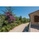 Properties for Sale_PRESTIGIOUS RENOVATED FARMHOUSE FOR SALE IN MASSIGNANO restored farmhouse in the Marche in Italy in Le Marche_14